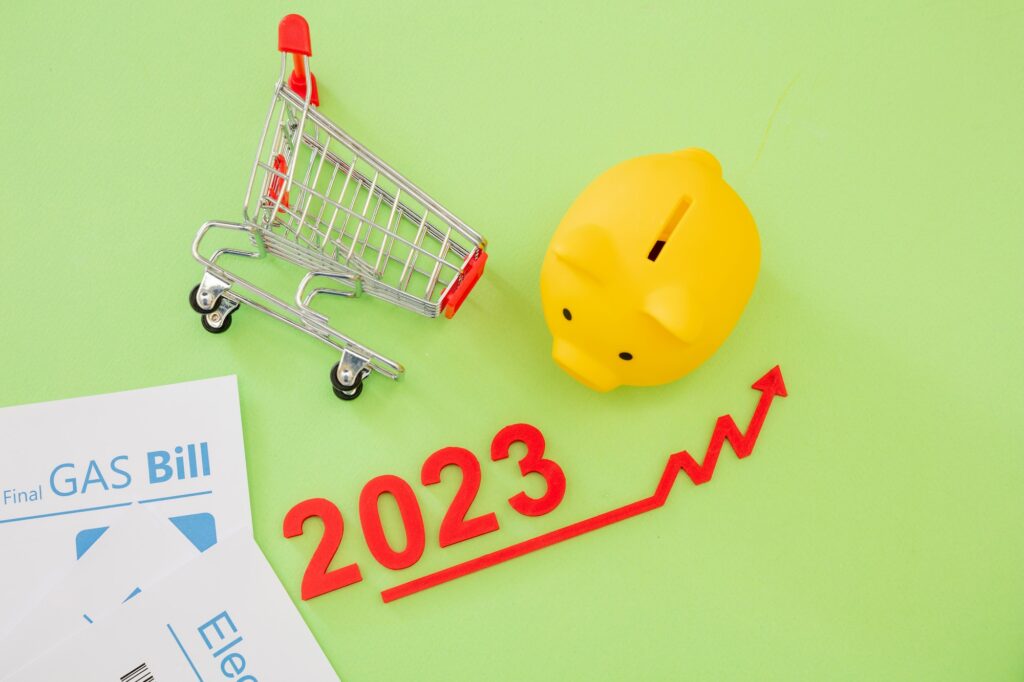 2023 year, Living cost, groceries and food price rising up, saving.